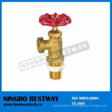 Ningbo Bestway 1/2 &quot;männlich Kesselablassventil (BW-S24)